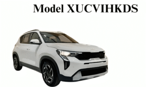 Model XUCVIHKDS Colors Options: A Colorful Showcase